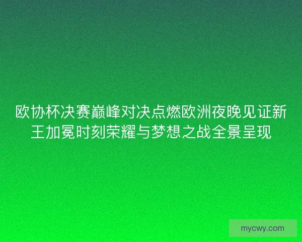 欧协杯决赛巅峰对决点燃欧洲夜晚见证新王加冕时刻荣耀与梦想之战全景呈现