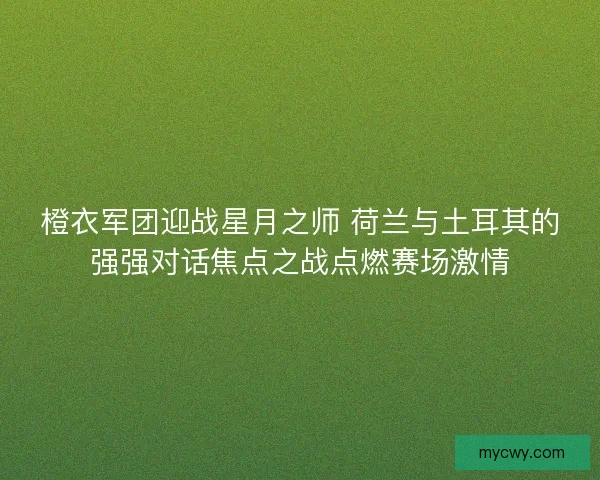 橙衣军团迎战星月之师 荷兰与土耳其的强强对话焦点之战点燃赛场激情