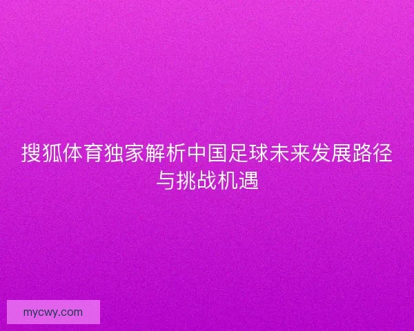 搜狐体育独家解析中国足球未来发展路径与挑战机遇