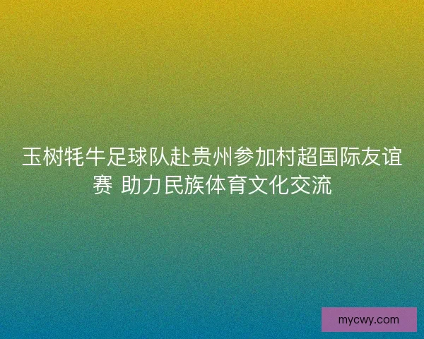 玉树牦牛足球队赴贵州参加村超国际友谊赛 助力民族体育文化交流 玉树牦牛足球队赴贵州参加村超国际友谊赛 助力民族体育文化交流